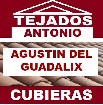 reparacion de tejados SAN Agustin De Guadalix