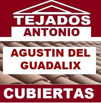 reparacion de tejados SAN Agustin De Guadalix