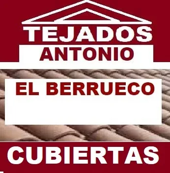 reparacion de tejados El Berrueco