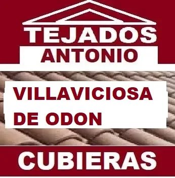 reparacion de tejados VILLAVICIOSA DE ODON