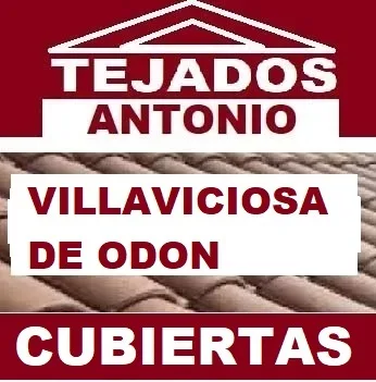 reparacion de tejados VILLAVICIOSA DE ODON