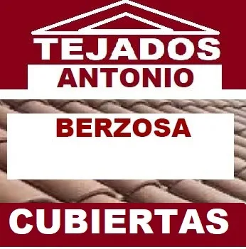 reparacion de tejados Berzosa