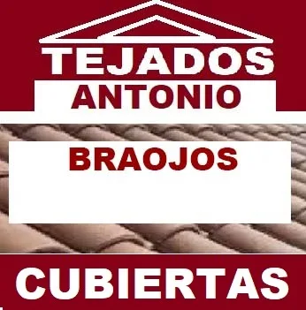 reparacion de tejados Braojos