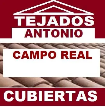 reparacion de tejados Campo Real