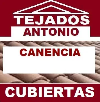 reparacion de tejados Canencia