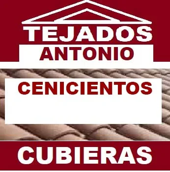 reparacion de tejados Cenicientos