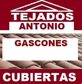 reparacion de tejados Gascones